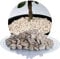 Schicker Mineral Kalk Ziersplitt beige 25 kg, Kalksplitt Yellow Sun, Deutscher Naturstein, farbecht, witterungsbeständig, ideal zur Gartengestaltung, Fassadenschutz, Schotter (Kalk Splitt, 8-16 mm)