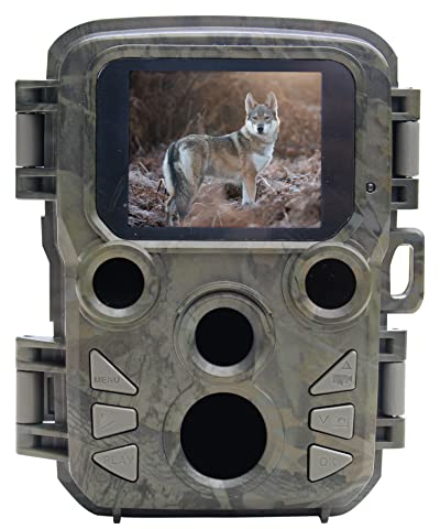 Braun Scouting Cam Black800 Mini