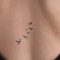 MyJagua Tattoo • Schwalben | 1-2 Wochen Tattoo | Auf Pflanzenbasis | Hautverträglich | Wasserfest | Neue Tattoo Technologie | Kein Klebe Tattoo