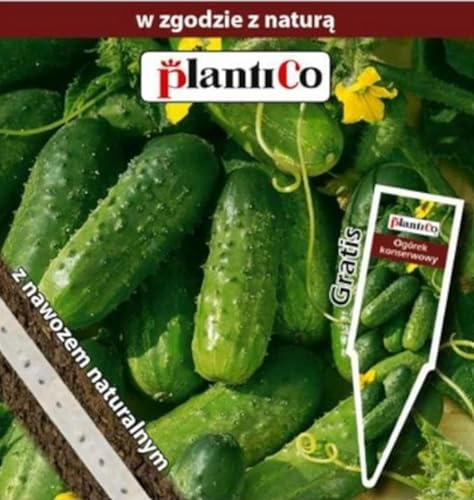 PlantiCo Freilandgurke Maksimus F1 Saatband 5 m Samen Robuste Gemüsesamen Gemüse Samen Anzucht Saatgut Gewächshaus Garten Gemüsegarten