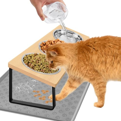 Exquilnova Cat Bowls with Stand Tilted,15° Tilted Raised Cat Food Bowls,Elevated Cat Water Bowl with Food Mat,Cats Feeding Bowls for Water,Food,3 Stainless Steel Cats Bowl for Cats,Small Dogs