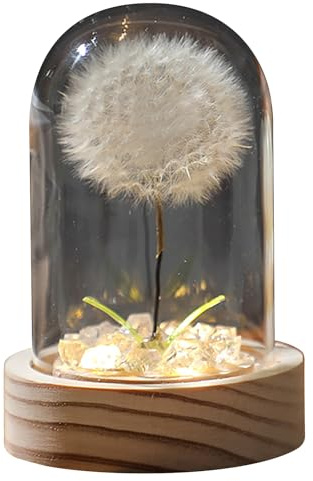 Echter Löwenzahn Briefbeschwerer, Kristallkugel Nachtlicht, Ewige Blume im Glaskugel Geschenk für Schlafzimmer oder Büro(White,Medium)