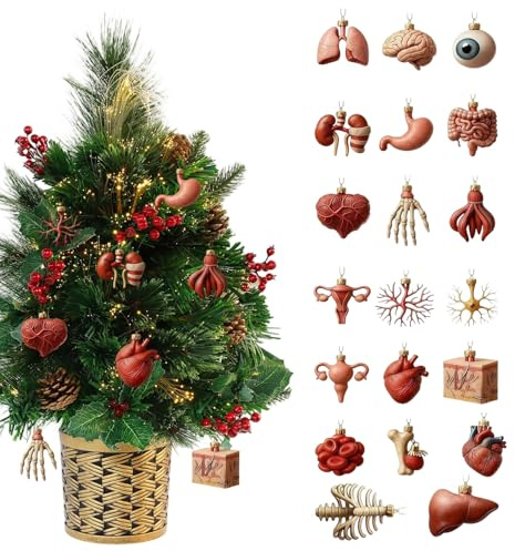 2025 Weihnachten Adventskalender, 2025 Anatomie Adventskalender, Weihnachten 24 Tage 2d Acryl Anhänger | Lustige menschliche Anatomie Miniaturen | Für Ärzte Krankenschwestern Lehrer Studenten