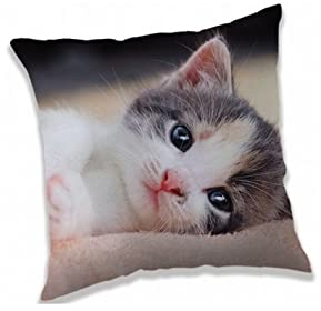 Jerry Fabrics Kissen Kuschelkissen Dekokissen mit Katze 40 x 40 cm