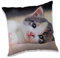 Jerry Fabrics Kissen Kuschelkissen Dekokissen mit Katze 40 x 40 cm