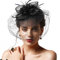 DRESHOW Fascinator Hüte für Damen Pillbox Hut mit Schleier Stirnband und Einer Gegabelten Clip Tea Party Kopfbedeckung