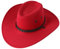 DELIMALI Cowgirl-Hut, Cowboyhüte für Damen, Strass, Western-Vintage-Filzkrempe, Hut für Junggesellinnenabschied, Cosplay, Kostüm, Kostümparty, B-Rot, Einheitsgröße