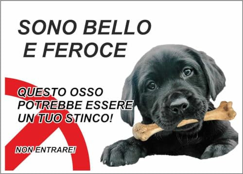 M-ITALY CARTELLO SEGNALETICO - ATTENTI AL CANE LABRADOR NERO, SONO BELLO E FEROCE - Adesivo Extra Resistente, Pannello in Forex, Pannello In Alluminio (30x42, Alluminio)