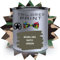 Vernice opaca da 2,5 l di grado militare con pennello/spray su vernice UPVC per legno, acciaio e plastica – BS381 285 NATO GREEN