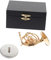 BESTOYARD 1 Stück Hornmodell Ornamente Mini-Horn-Modell Kupfervergoldetes Horn Horninstrumentenschmuck Miniaturhorn Desktop-Horn Schmücken Wohnkultur Golden Karat Vergoldetes Kupfer