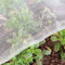 Gemüse Schutznetz Garten Insekten Netz: 1.5x5m Kulturschutznetz Feinmaschig Pflanzenschutznetz Tunnel for Schädlings Kirschfruchtfliege Kohlfliegen Weiß