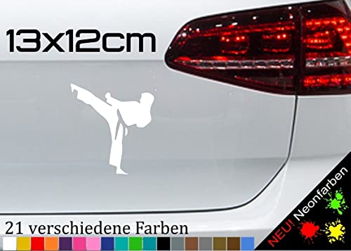 Karate Aufkleber Kampfsport Gürtel Judo Decal Taekwondo Dan Japan Tae Bo 13x12cm in 21 Farben
