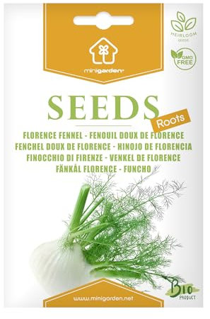 Bio-Fenchel-Samen von Minigarden – 100% natürlich, GVO-frei, bereit zur Aussaat, reproduzierbar – 80–120 Samen (Fenchel)