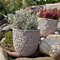 K&L Wall Art Pot de fleurs vintage en béton, ciment - Résistant au gel - Pour herbes grasses - Gris - Diamètre : 25cm
