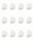Mini Hair Claw Clips Clamps Small Plastic Hair Clips Pins Grips Womens Girls Hair Accessories (Clear), 12 Count (Pack of 1)