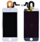 TheCoolCube LCD-Display Digitizer Touchscreen Ersatz für iPod Touch 5. / 6. / 7. Generation, Weiß