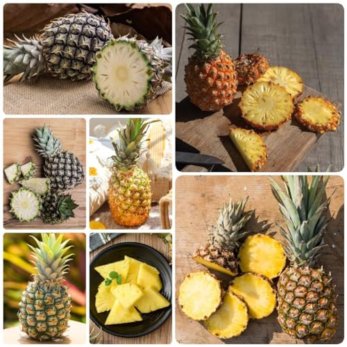 500 Piezas Semillas De Piña - Protección Invernal Para Plantas, Plantas Raras (Ananas Comosus), Plantas De Interior Purificadoras De Aire, Protección De Árboles, Plantas Invernales En Maceta