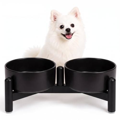 Gamelle pour Chien Surélevée en Ceramique - Gamelles Surelevees pour Petit Chiens et Chats - Double Bol avec Support en Acier Inoxydable pour Eau et Croquettes - 160 g（320 ML） x 2 - Noir