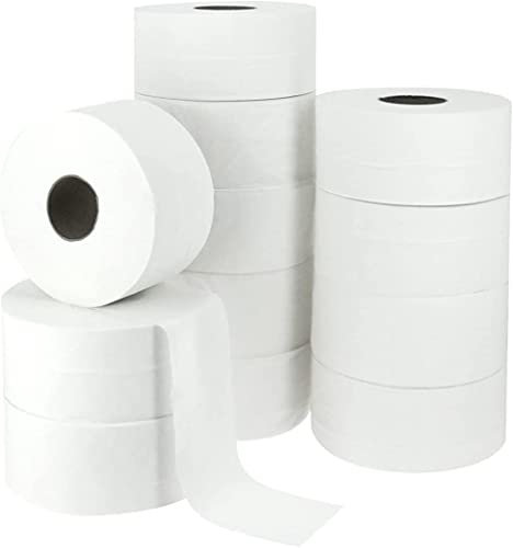 DSTOCK60-12 rouleaux Papier toilette gaufré MAXI JUMBO ECO 2 plis - 300 M compact - Compatible avec les distributeurs pro papier toilette MAXI JUMBO