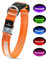 Leuchthalsband Hund, Hundehalsband Leuchtend Aufladbar, LED Halsband für Hunde Leuchtband Einstellbar Wasserdicht mit 3 Lichtmodi Sicherheit für Kleine Mittlere Große Hunde, Orange L