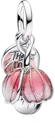 Rimgoris 925 Sterling Silber Charm für Frauen Armbänder Halskette Infinity Herz Familie Verschluss Sicherheitskette Hund Druck&Knochen Münze Familie&Freund für immer Freundschaft Heißluftballon Haus