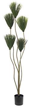 EUROPALMS Papyrus, Kunstpflanze, 130cm | Pflegeleichte Papyrusstaude aus PE