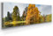Wunderschönes Leinwandbild Wald Panorama 150x50cm – Ein einzigartiges Foto - Buche im Herbst – als Wandbild. Eine schöne Wanddeko für Wohnzimmer & Schlafzimmer. Aufgespannt auf Holzrahmen