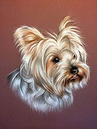 DIY 5D Diamond Painting nach Anzahl Kits Cute Yorkshire Terrier Runde Full Drill Diamond Painting Kits Perfekte Kunsthandwerk für Home Wall Decor Diamond Painting 40×50 cm