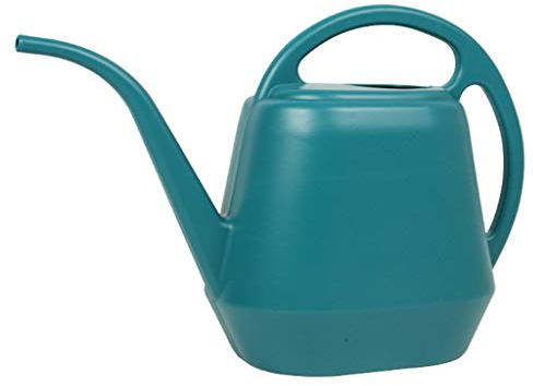 hfior Arrosoir de 4 L - Grande capacité - Pour décoration de jardin, arrosage - Fleurs - Plantes d'intérieur