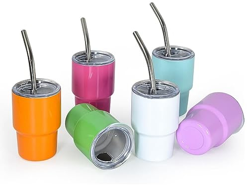 KEVGNRO 3 oz Mini Tumblers Shot Glass Set di 6 Colored Stainless Steel Small Tumblers Double Wall Vacuum Insulated Cups with Lids and Straws, For Party, Travel, Camping