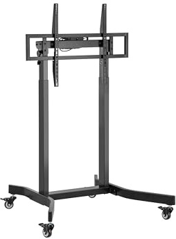 Equip Bodenstandhalter 55-100/ 1TFT 120kg