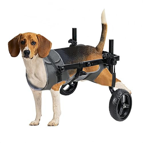 KAJILE Faltbar und Einstellbar Zweirädriger Rollstuhl für Haustiere,Hunderollstuhl für Große und Mittel Hunde,Rehabilitation der Hintergliedmaßen von Haustieren,Grau,M