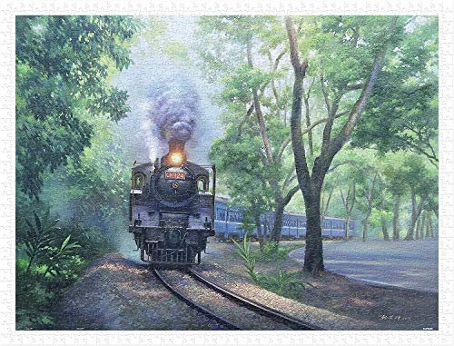 Pintoo Puzzle 1200 Teile für Erwachsene - Lai Ying Tse - Die Pfeife im grünen Tunnel - Jiji Line Eisenbahn Schönes Kunststoffpuzzle für Wohnkultur Zero Dust Einfache Lagerung [H2338]