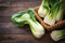 Lote de 200 semillas de col china Pak Choi - Variedad china - Planta resistente al frío - Perfecta en ensaladas y woks - Reproducible