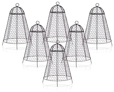 Lot de 6 Cloches de Jardin en Forme de dôme pour protéger des Animaux Contre Les Cerfs et Les Lapins dans Le Potager extérieur avec Grandes Cloches épaisses et antirouille 30,5 cm de Hauteur 50,8 cm
