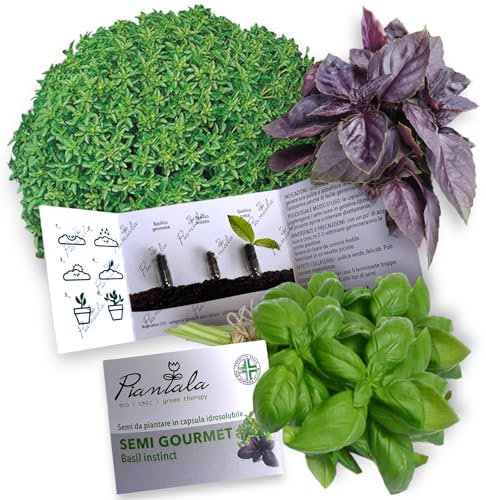 SEMI PINATABILI (SEMI GOURMET BASIL: basilico genovese, greco, violetto)