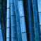 100Pcs Graine de Bambou Plante Exterieur, Graines De Bambou Tolérantes à L'ombre Décor à La Maison Rare Phyllostachys Pubescens Semis De Jardin Pour Arrière-cours Graines de bambou (Bleu)