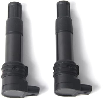 Motorrad Zündspulen-Set (2er Pack) für BMW R1150R ROCKSTER 2002-2005, R1150R 2000-2006, R1150RS 2001-2005, R1150RT 2000-2006, 12-13-7-707-549 Moto Ersatz-Zubehörteile