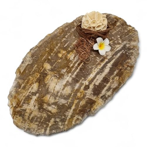 Kinaree Versteinerte Holz Schale – Deko-Schale aus Naturstein, poliertes Unikat ca. 30 cm – asiatische Dekoration aus fossilem Holz, ideal für Schlüssel, Schmuck oder Trockenblumen
