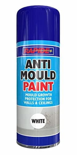 Rapide Anti Mould Spray Paint 400ml (1)