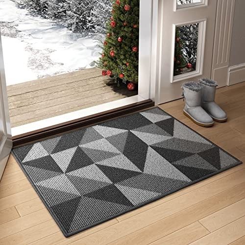 Color G Schmutzfangmatte 80x120cm Schwarz, Waschbar Fußmatte für Innen & Außen, Wasserdicht Fussmatte Rutschfester Schmutzfänger Teppich für Eingang, Haustür, Patio, Flur, Garten