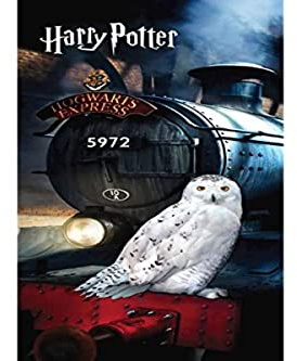 APTEX Harry Potter Hogwarts Hedwig Duschtuch Strandtuch Badetuch 70 x 140 cm