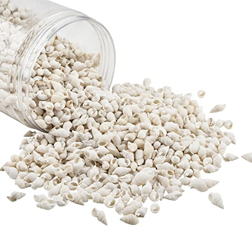 WANDIC Natürliche Mini-Muscheln, Packung mit 250 g, weiße Spiralmuschelperlen, Strandmuscheln, Basteln für Aquarien, Vasen, Füllstoff, Heimdekoration, Epoxidharz-Ideen