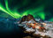 1000 Teile Puzzle Erwachsene, Impossible Geschicklichkeitsspiel für die Ganze Familie, Farbenfrohes Legespiel - Norwegen Aurora Borealis, Home Dekoration