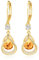 Gold Ohrringe Geburtsstein hängend ohrringe 14K gold hängend gold ohrringe Feine Schmuckstücke Geburtstagsgeschenke für Frauen(Gold November)