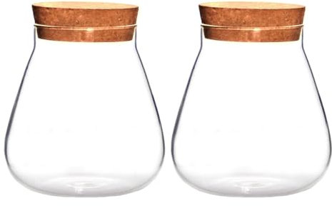 iplusmile Lot De 2 Bouteilles en Verre avec Bouchon en Liège pour Loisirs Créatifs Micro-Paysage avec Joint en Verre Vase Décoratif en Bois Marron