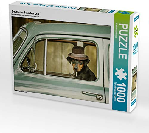 CALVENDO Puzzle Deutscher Pinscher Leo | 1000 Teile Lege-Größe 64 x 48 cm Foto-Puzzle für glückliche Stunden