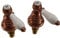 Fir Melrose 21 Rubinetto Bidet 3 Fori a Leva Ramato 21.1221.5.26