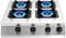 Generic Gas Hob with 4 Burners - LPG/NG Dual Fuel, Pulsed Electronic Ignition - Stainless Steel Built-In Cooktop