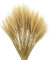 KGDUYC 50 Piezas Decoraciones de Hierba de Trigo Natural, Hierba de Trigo Nativa, Flores de Hierba de Trigo Secas, Ramos de Boda, Decoración en Casa con Flores Bohemias, Fiesta Rústica de Granja